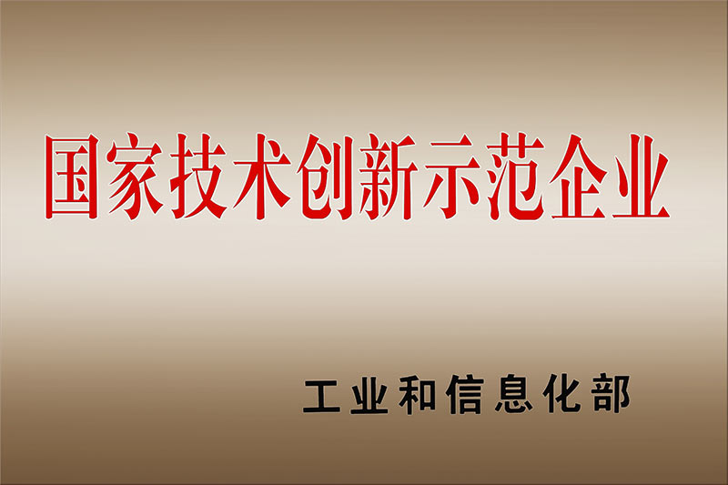 国家技术创新示范企业